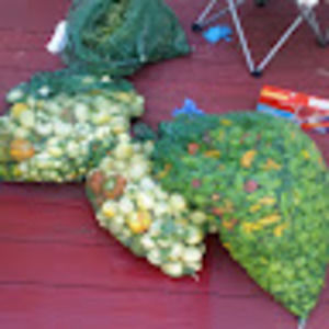 Meet your Posher, Saoyuna